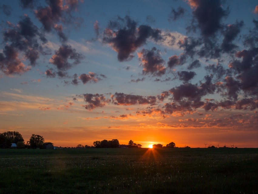 dawn, horizon, field, clouds, morning, grass, sky