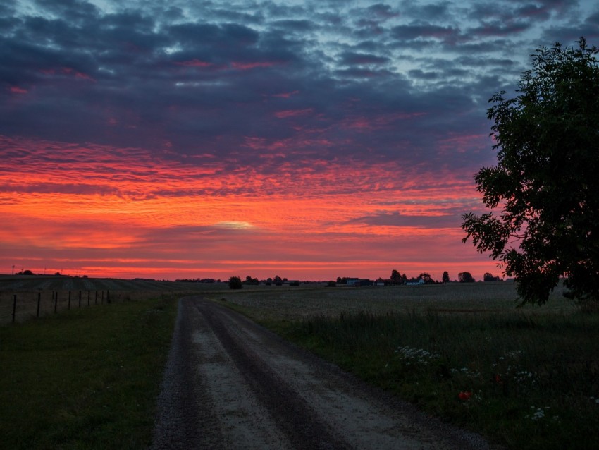 dawn, sunrise, horizon, road, clouds, morning, grass