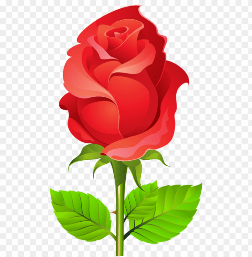 deco rose png