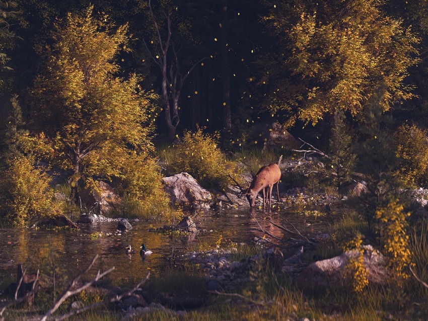 Deer Forest Art River Landscape Wildlife Background