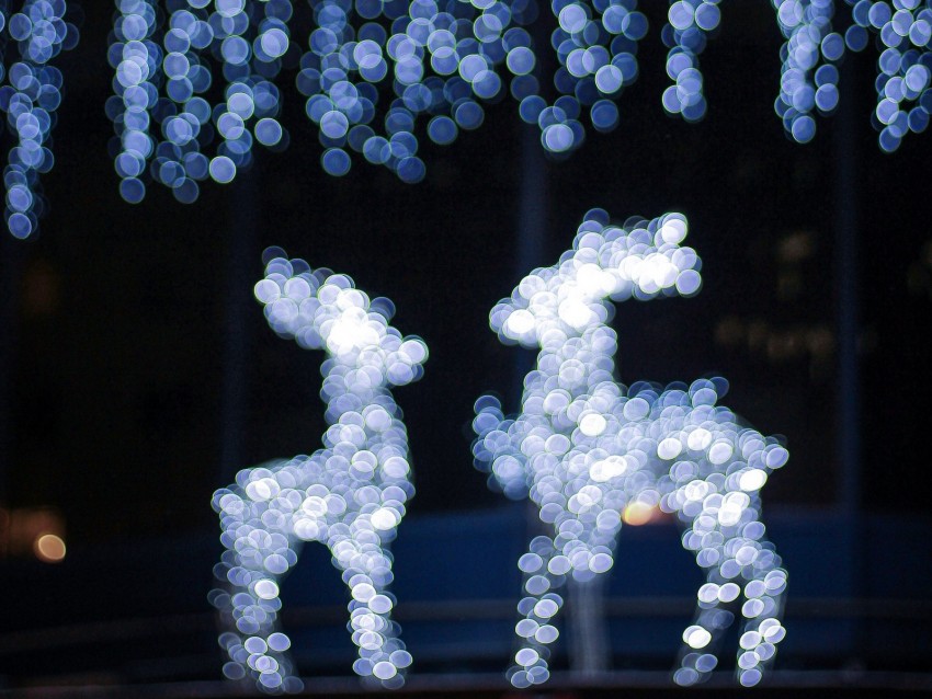 deer, glare, bokeh, christmas, new year