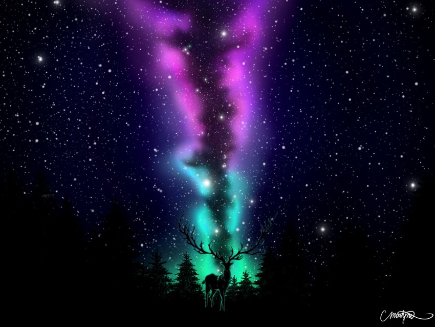 deer, northern lights, art, dark, forest