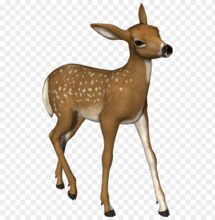 deer png, png,deer