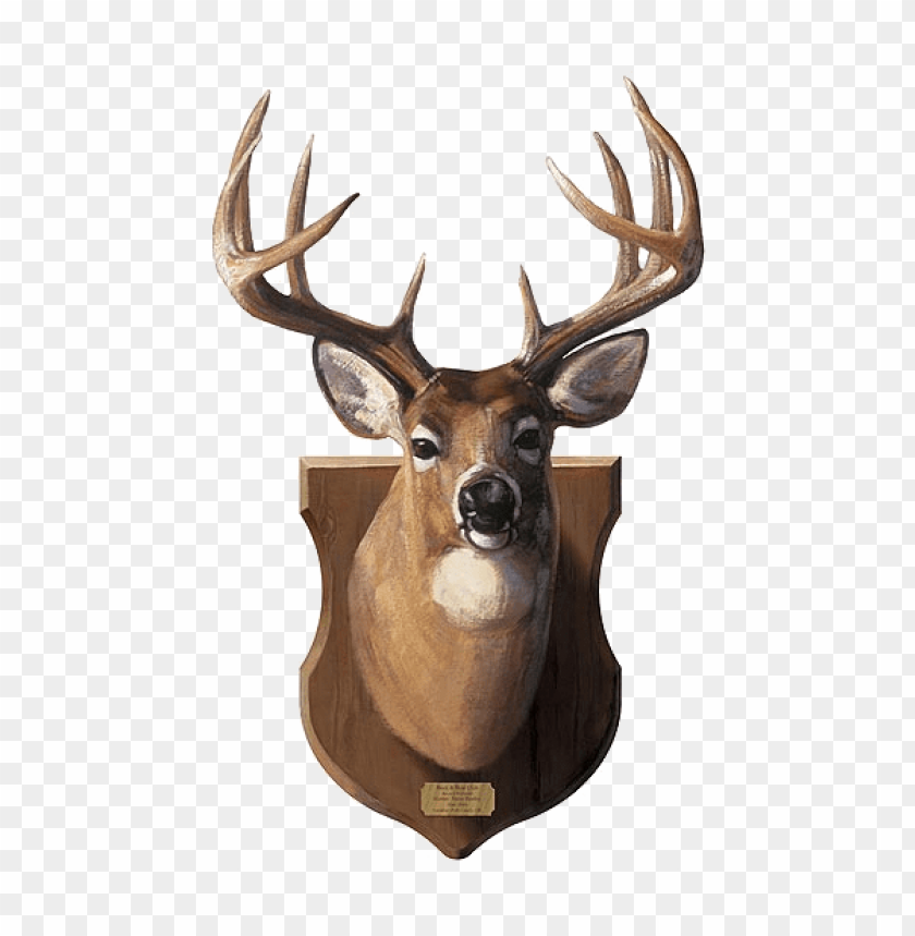 deer png, png,deer