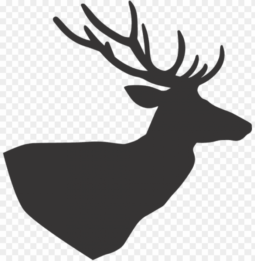 deer head, animal, nature, wild, hunting, antlers, stag