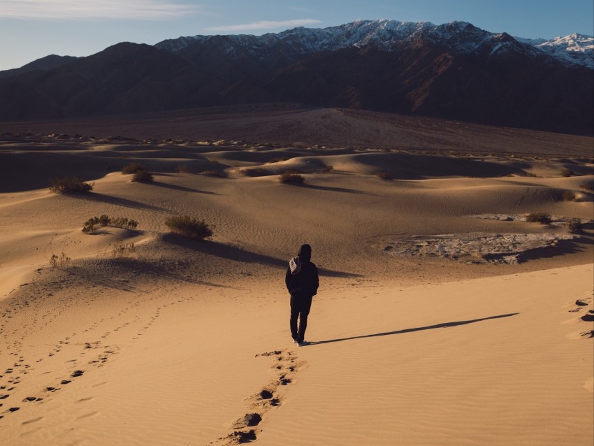 Desert Loneliness Solitude Sand Traces Background