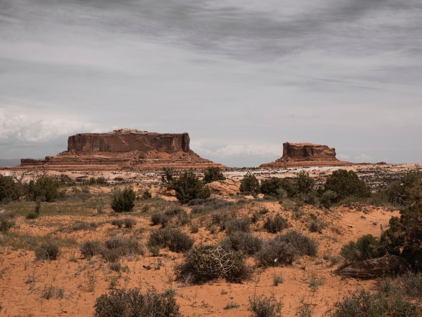 desert, mountains, bushes, vegetation, sand