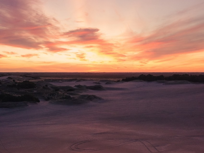 desert, sand, bushes, horizon, twilight, sunset