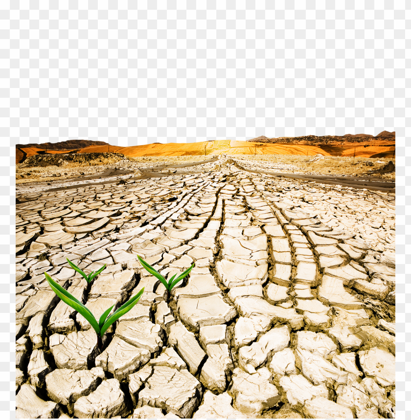 desertification day,desertification,events