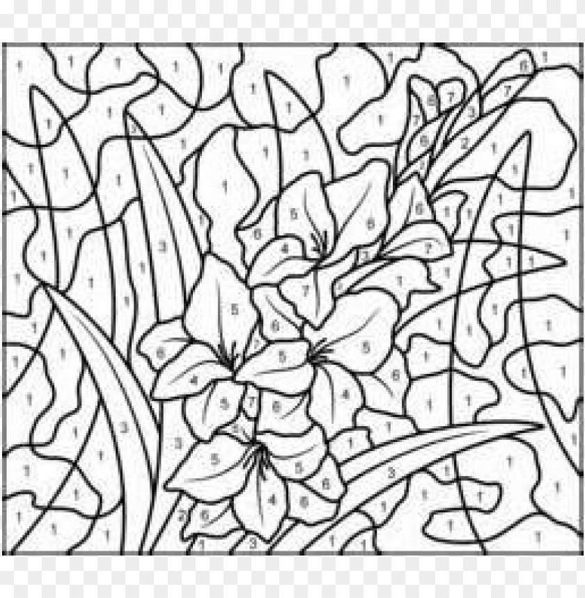 difficult color by number coloring pages, page,pages,number,color,difficult,coloringpage