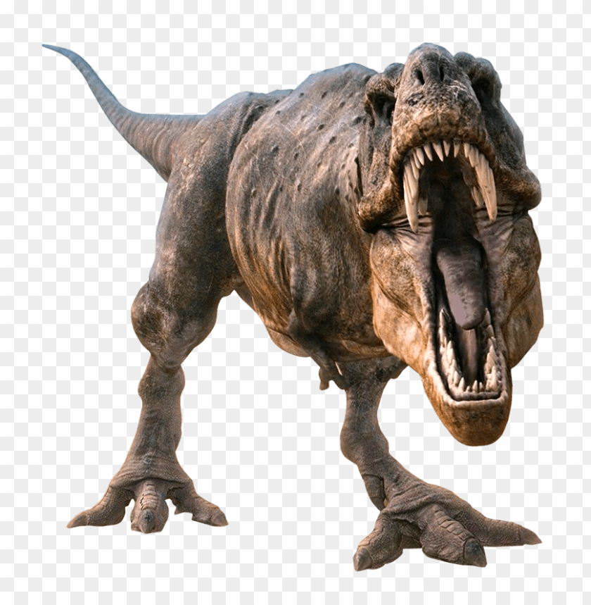 Tyrannosaurus rex PNG, large, dinosaur, roaring