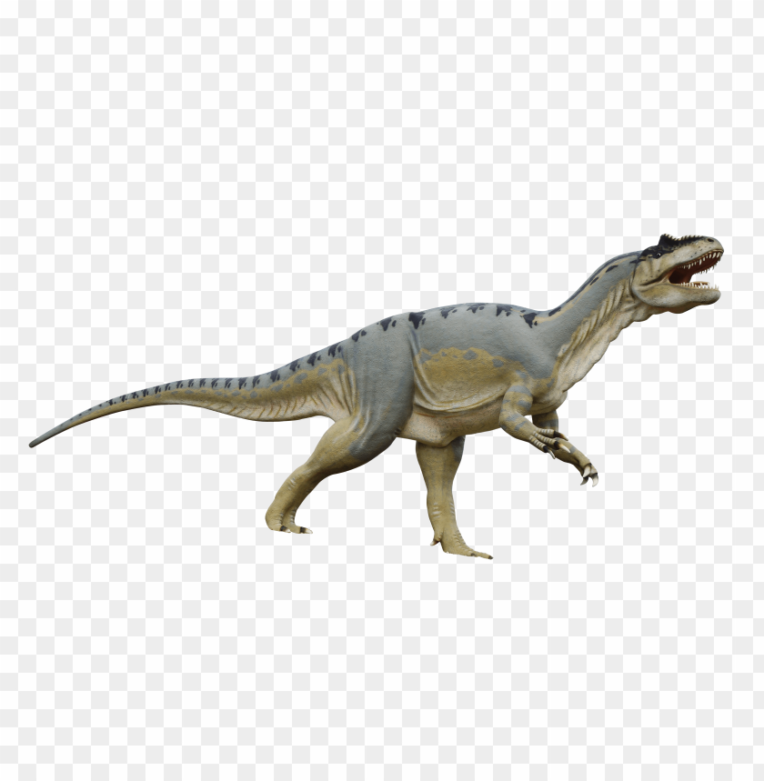 
animal
, 
dinosaur
