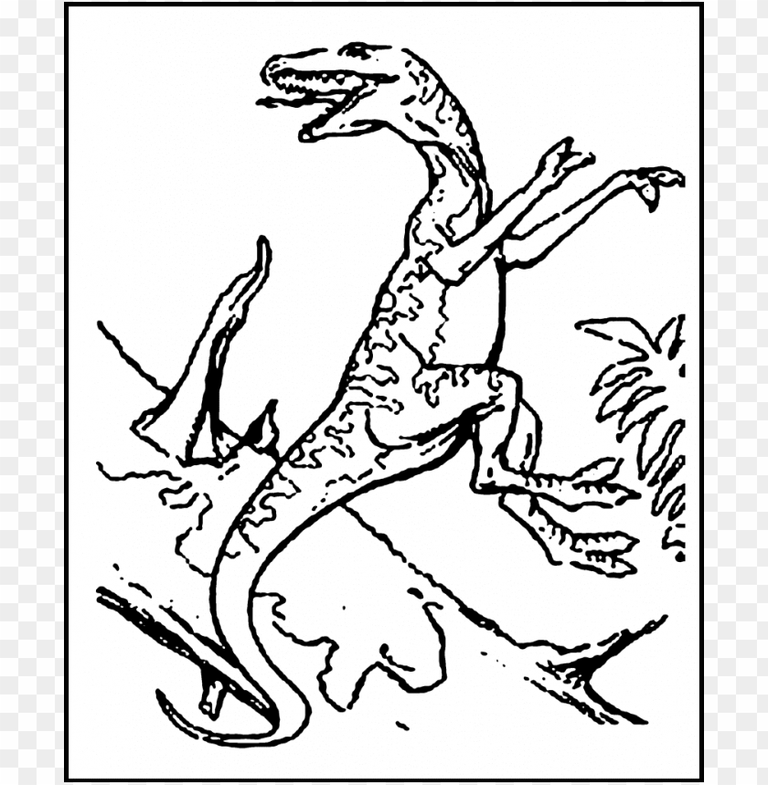 dinosaur color coloring pages, pages,dinosaur,page,color,coloringpages,coloringpage