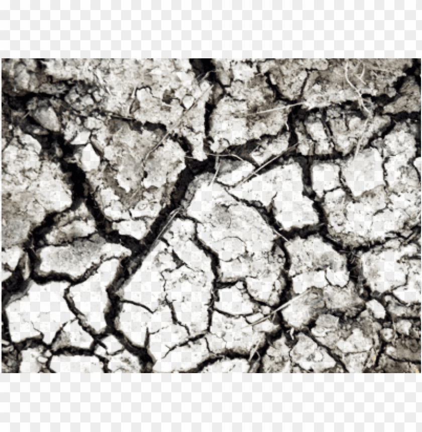 cracked soil, dry earth, barren land, ground texture, arid landscape, cracked earth, drought affected