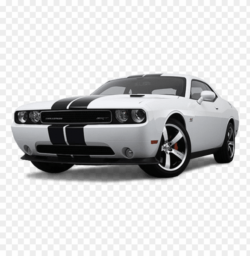 muscle car, sports car, white coupe, black stripes, performance vehicle, American muscle, car enthusiasts