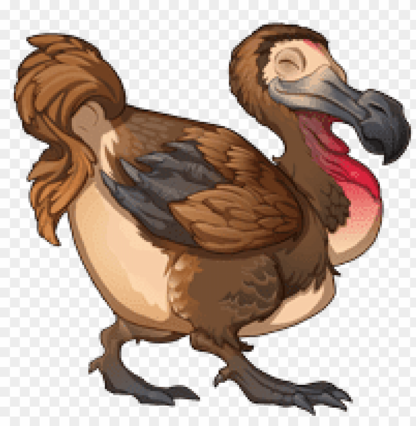 animals, birds, dodo, dodo illustration, 