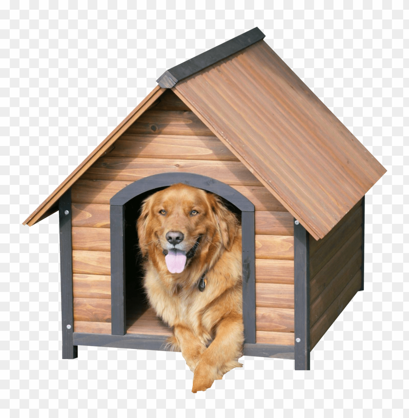 
dog
, 
pet
, 
object
, 
animal
, 
cage
, 
house
