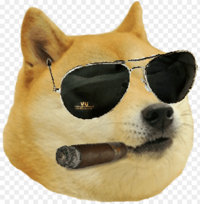 memes, doge, shiba inu, memes