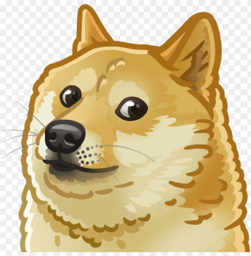 memes, doge, shiba inu, memes