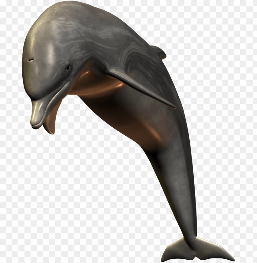 A sleek dolphin leaping gracefully from the water PNG