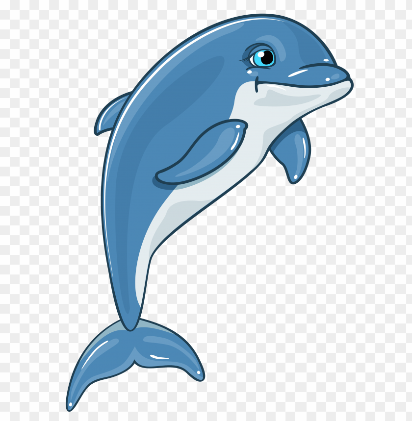 dolphin