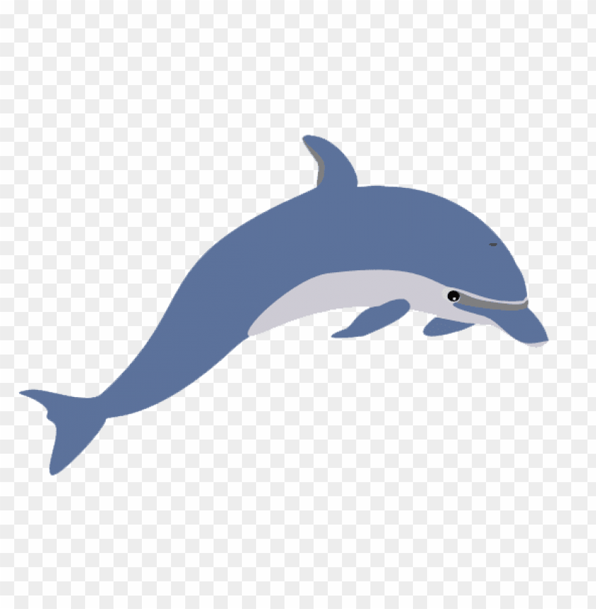 animals, sea, dolphin illustration, 