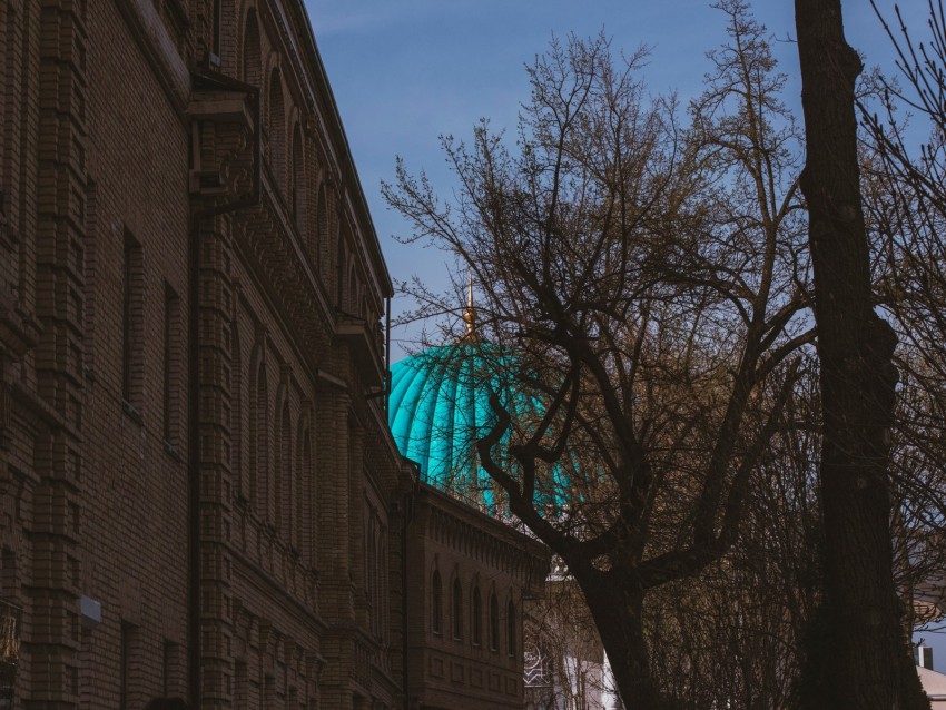 dome, roof, architecture, building, bright, tree