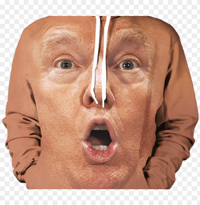 donald trump, young, kiss, action, textile, love, animal