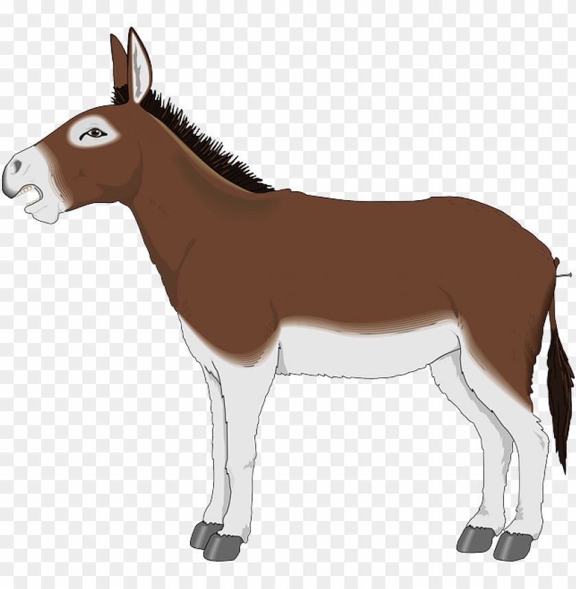 donkey png,donkey,donkey transparent background,donkey file png,donkey 

clipart,donkey png images,donkey png clipart