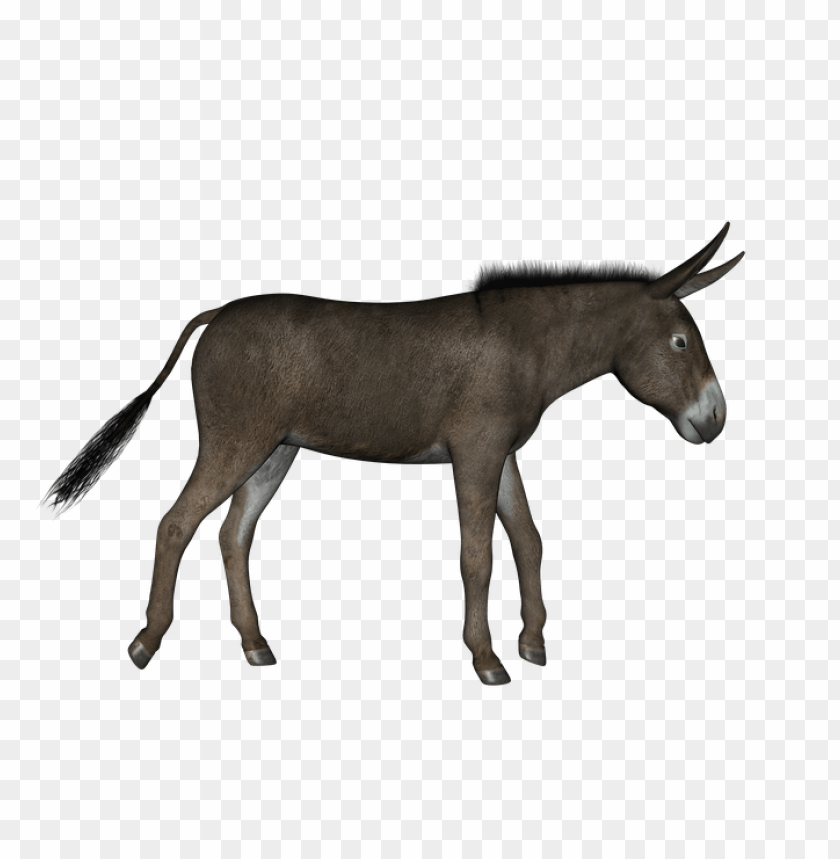 Animated donkey character walking with a neutral expressio PNG