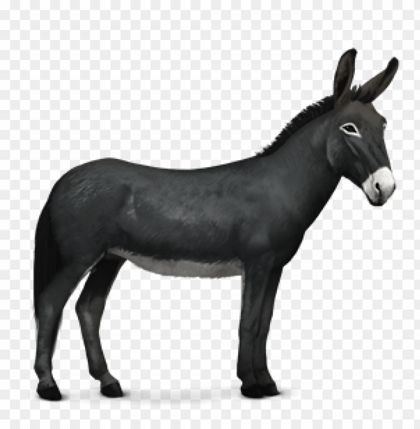 A side view of a black donkey with a white muzzle PNG