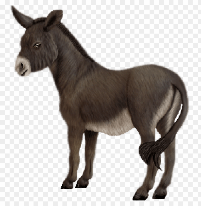 A side view illustration of a standing donkey with a dark coat PNG