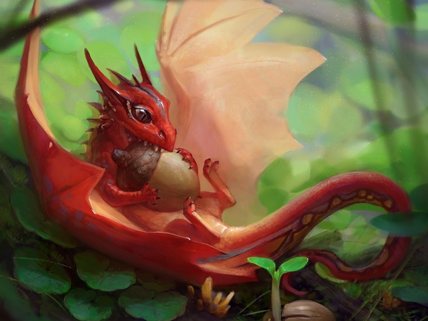 dragon, acorn, art, fantastic, food