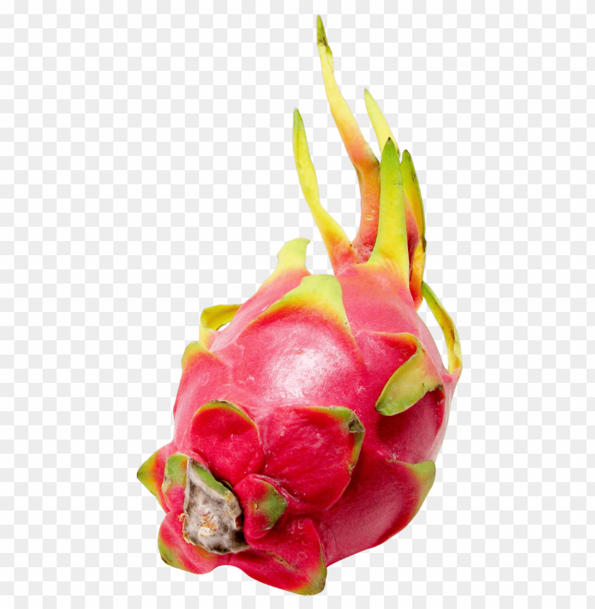 
fruits
, 
dragon fruit
, 
pitaya
, 
pitahaya
