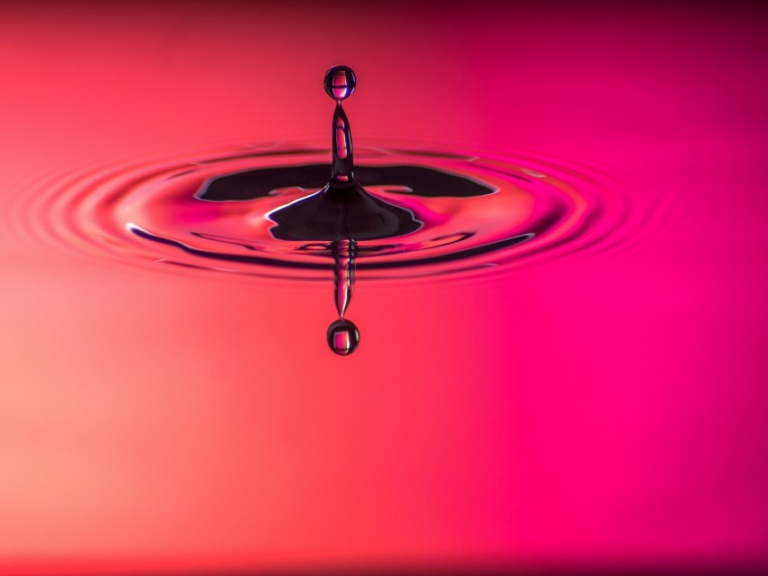 drop, spray, macro, pink, circles