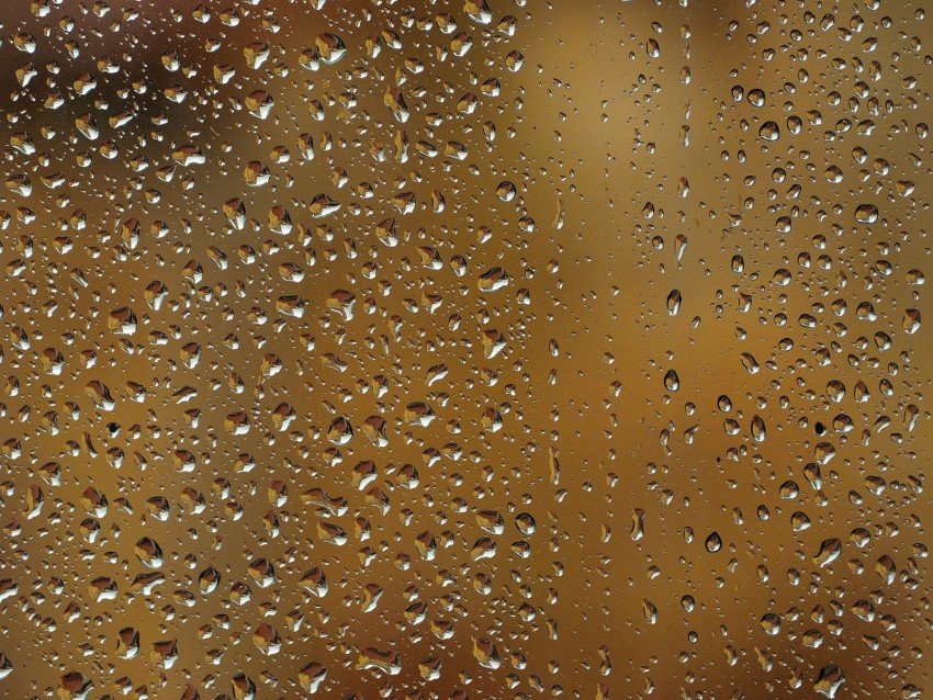 drops, macro, glass, surface, moisture, liquid