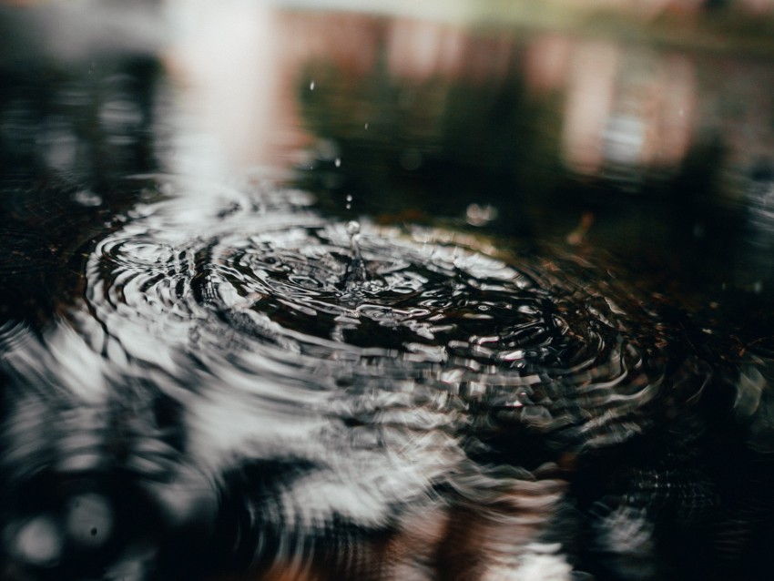 Drops Water Waves Macro Background