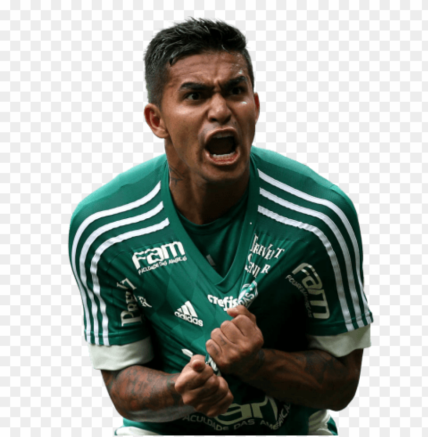 dudu, brazil, dudu, palmeiras, fifa ,football ,sport