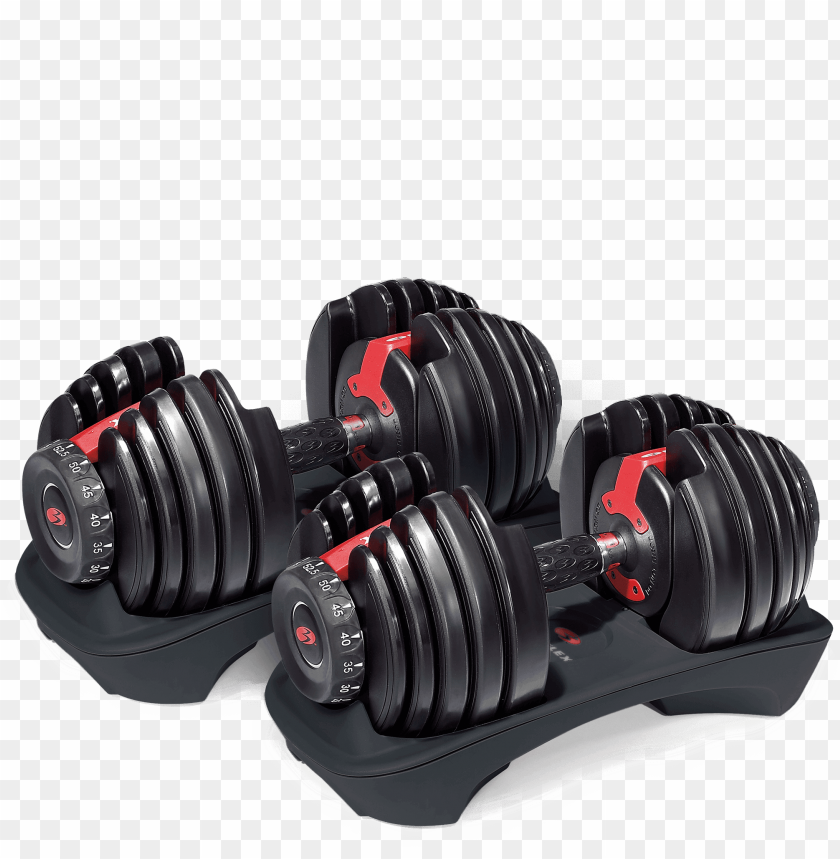 
dumbbell
, 
hantel
, 
short bar
, 
exercise
, 
muscle-building
