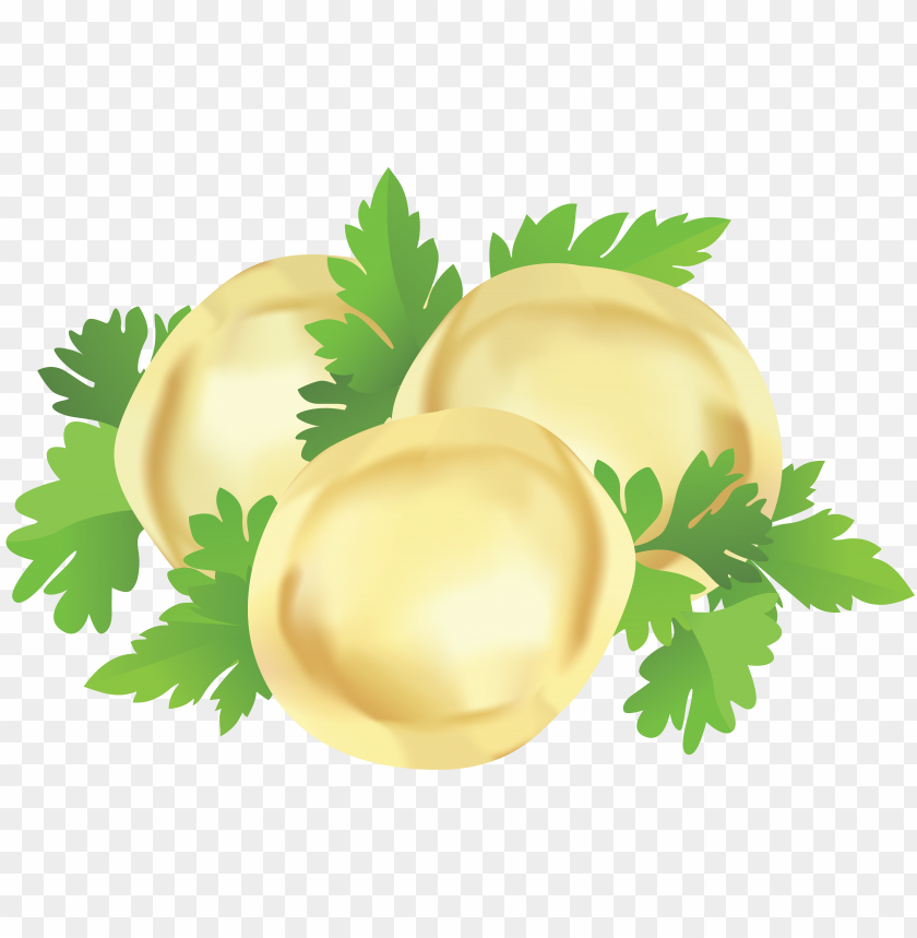 Dumplings Food Hd PNG Transparent Background