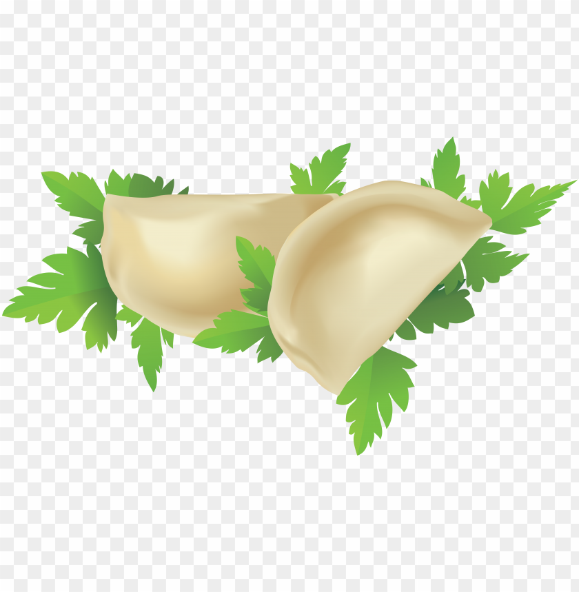 dumplings, food, dumplings food, dumplings food png file, dumplings food png hd, dumplings food png, dumplings food transparent png