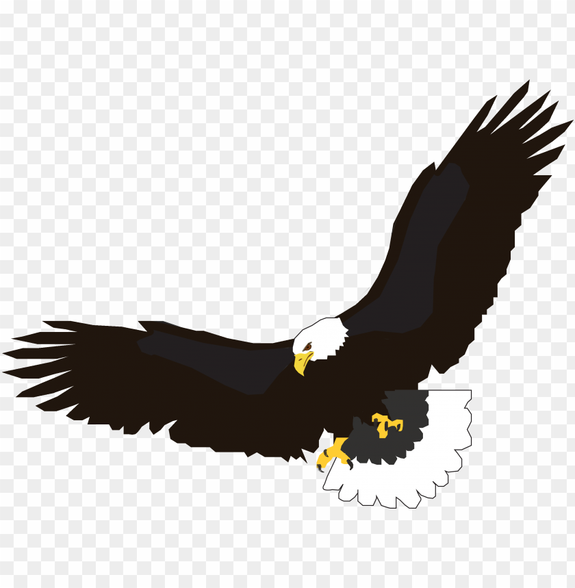 Stylized eagle in flight with black and white feathers PNG