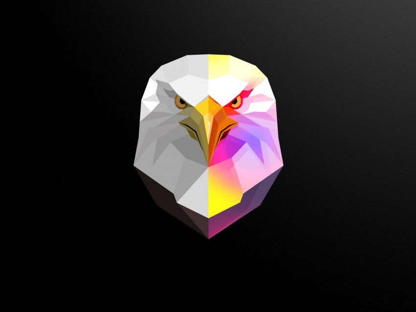 eagle, bird, art, polygon, geometric