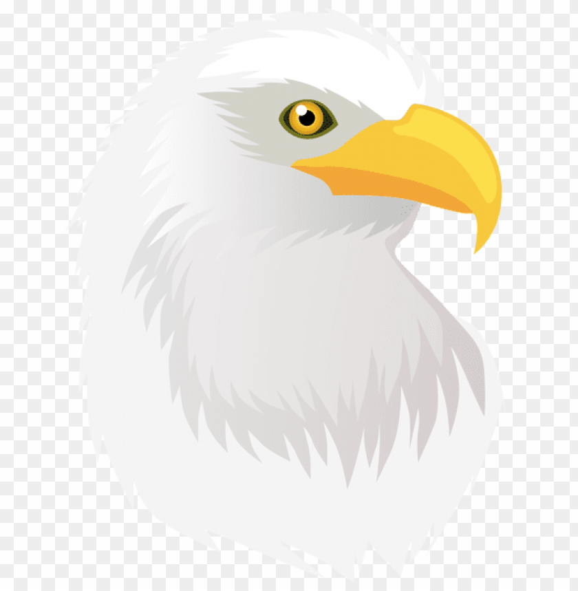 birds png ,bird