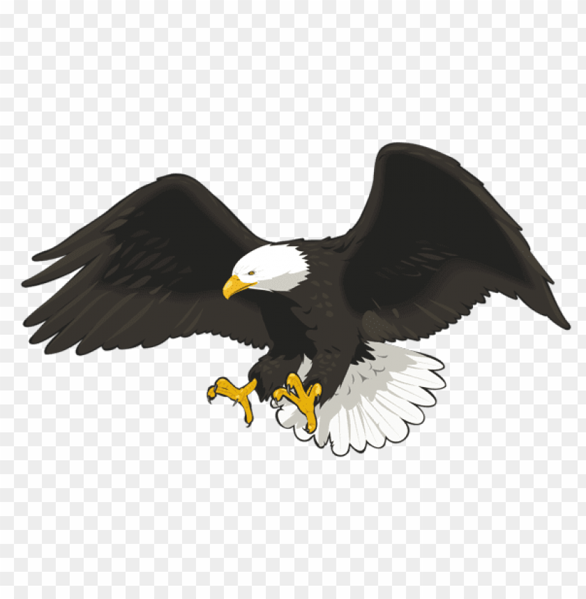 birds png ,bird