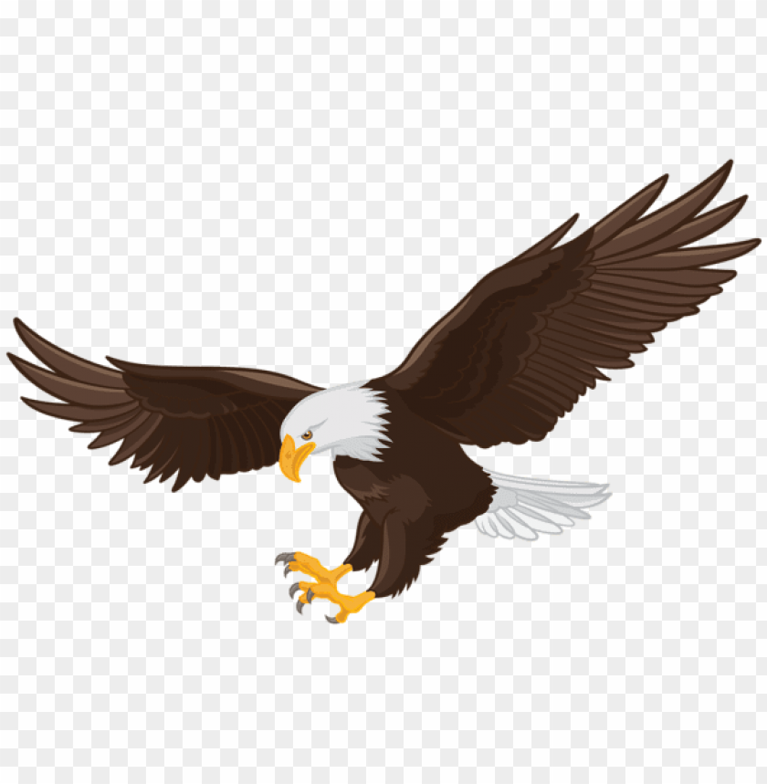 birds png ,bird