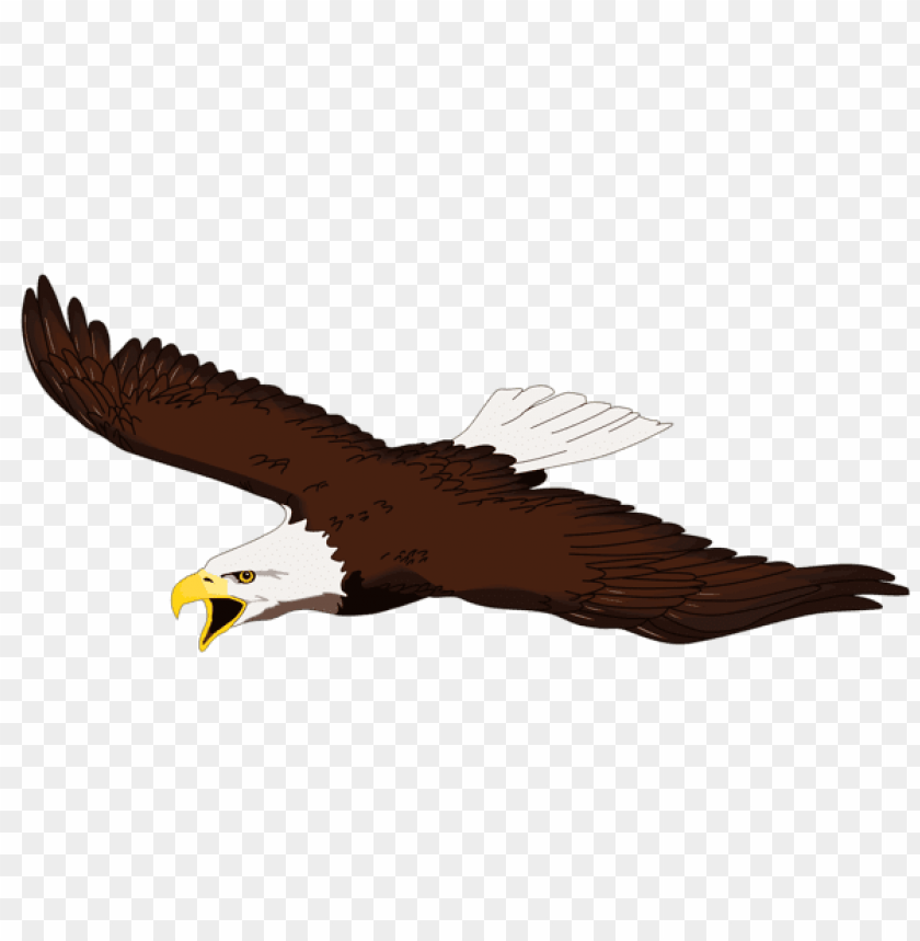 birds png ,bird