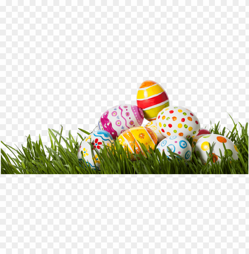 happy easter, square, plant, leaves, illustration, banner, lawn