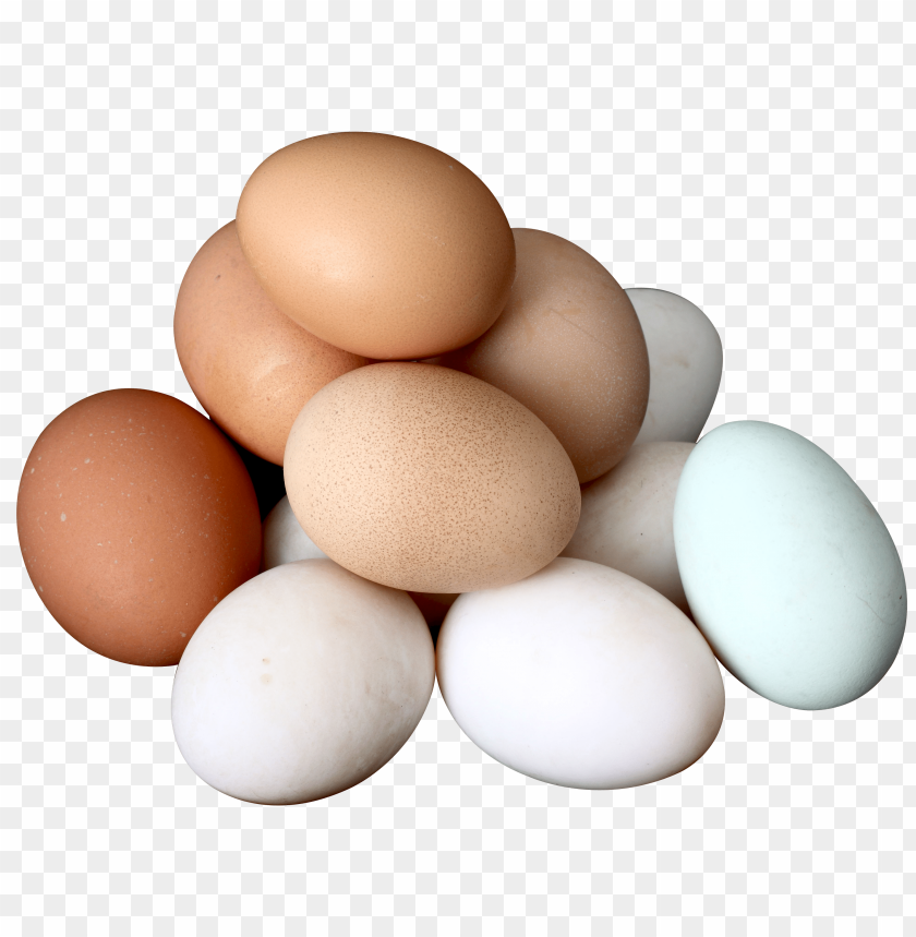 
food
, 
egg
