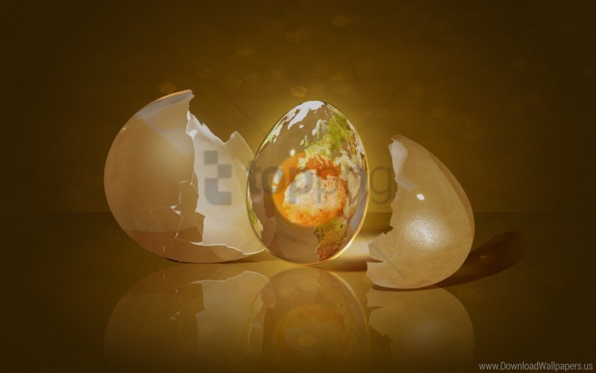 Egg Light Shape Shell Wallpaper PNG Transparent Background